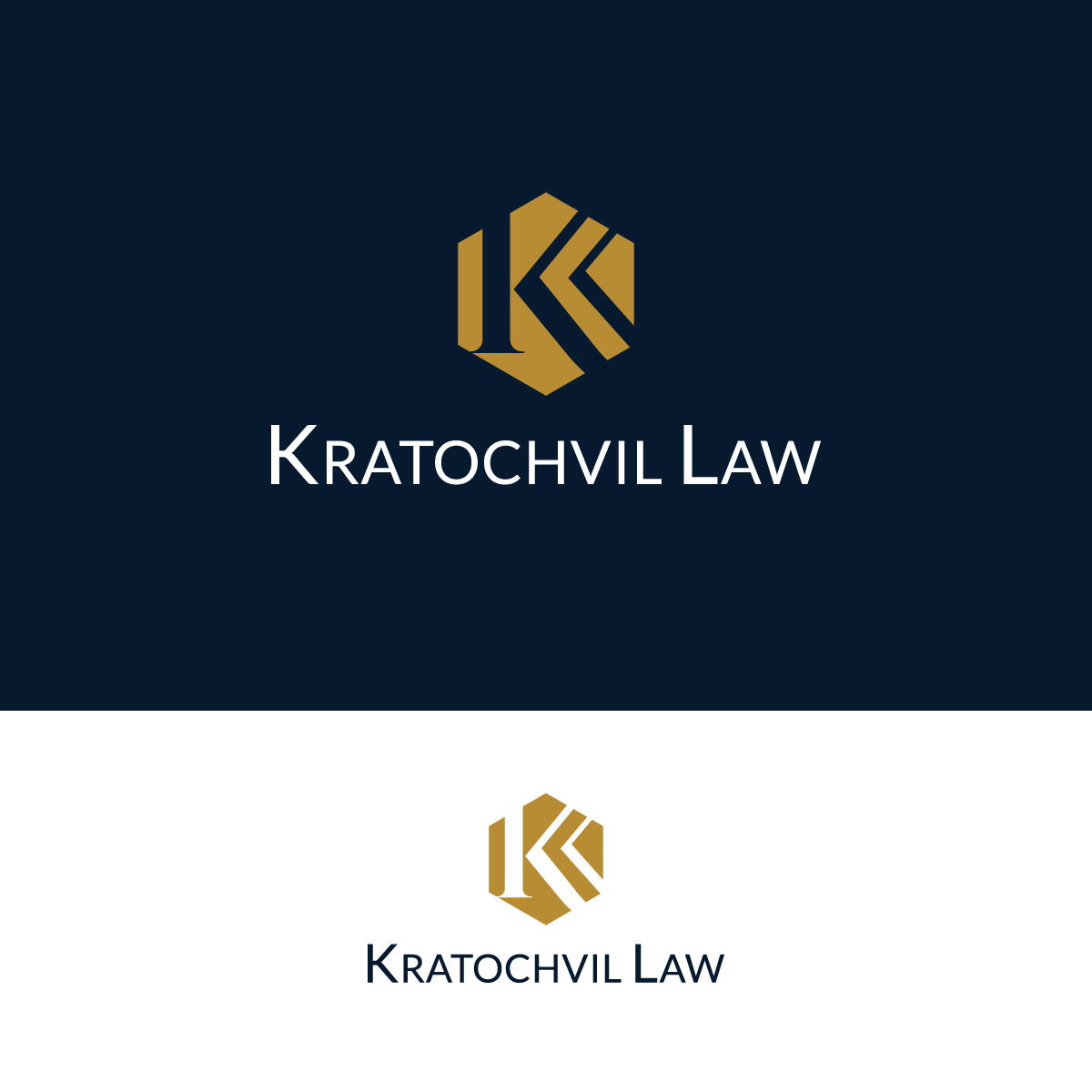 Diseño de Logo por LAXMI DESIGNHUB para este proyecto | Diseño #29555725
