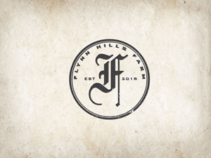 Logo Design by creatorBD