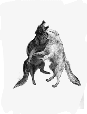 Tattoo Design by Jamal 12