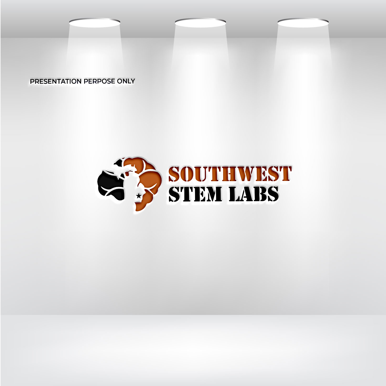 Logo Design by RS_Design for Southwest STEM Labs | Design #29535668