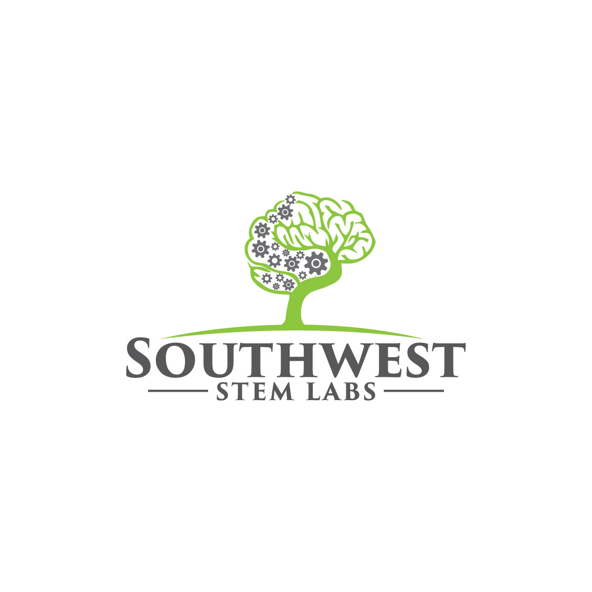 Logo Design by Rosalie.. for Southwest STEM Labs | Design #29548387