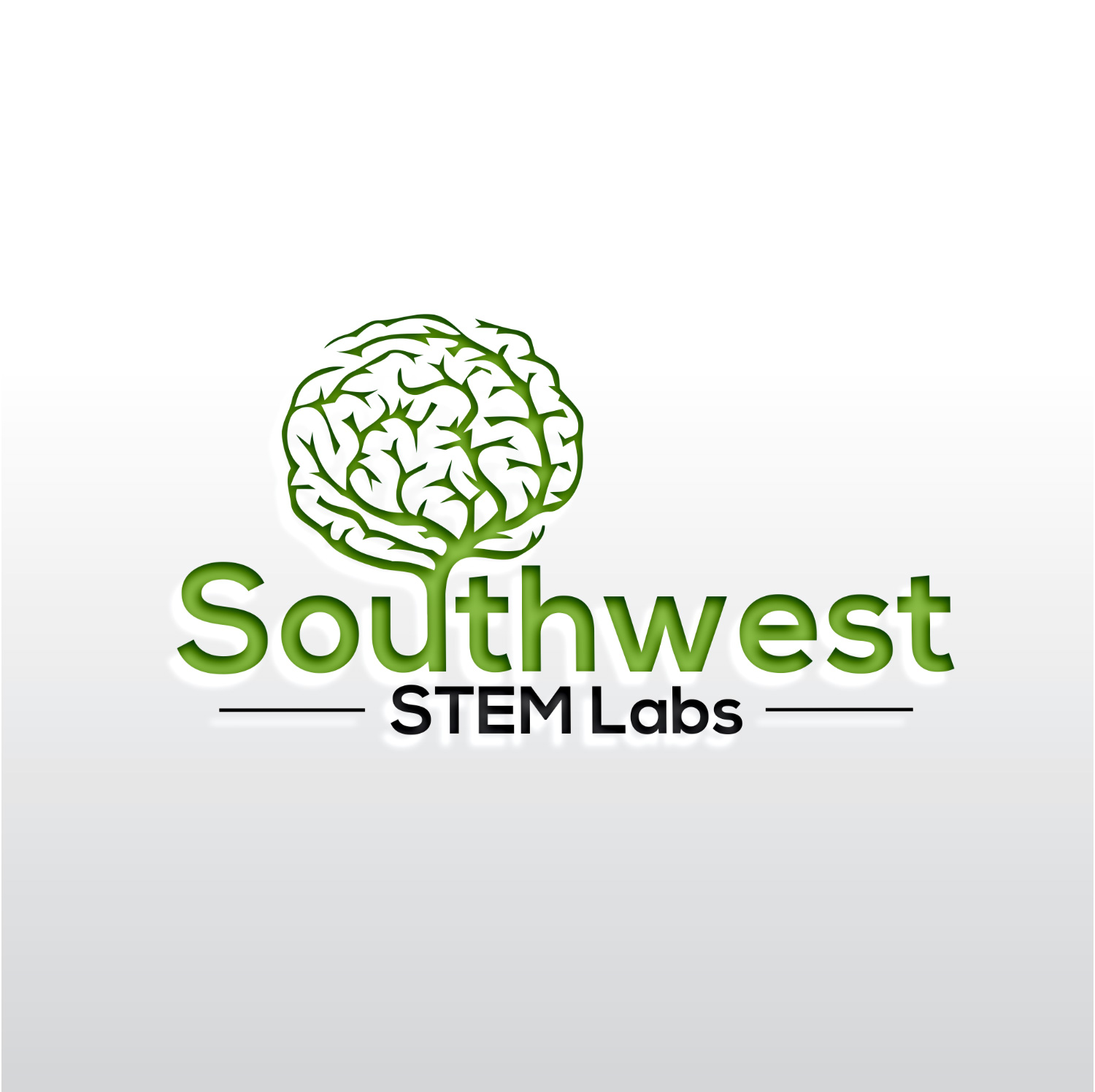 Logo Design by Rosalie.. for Southwest STEM Labs | Design #29548388