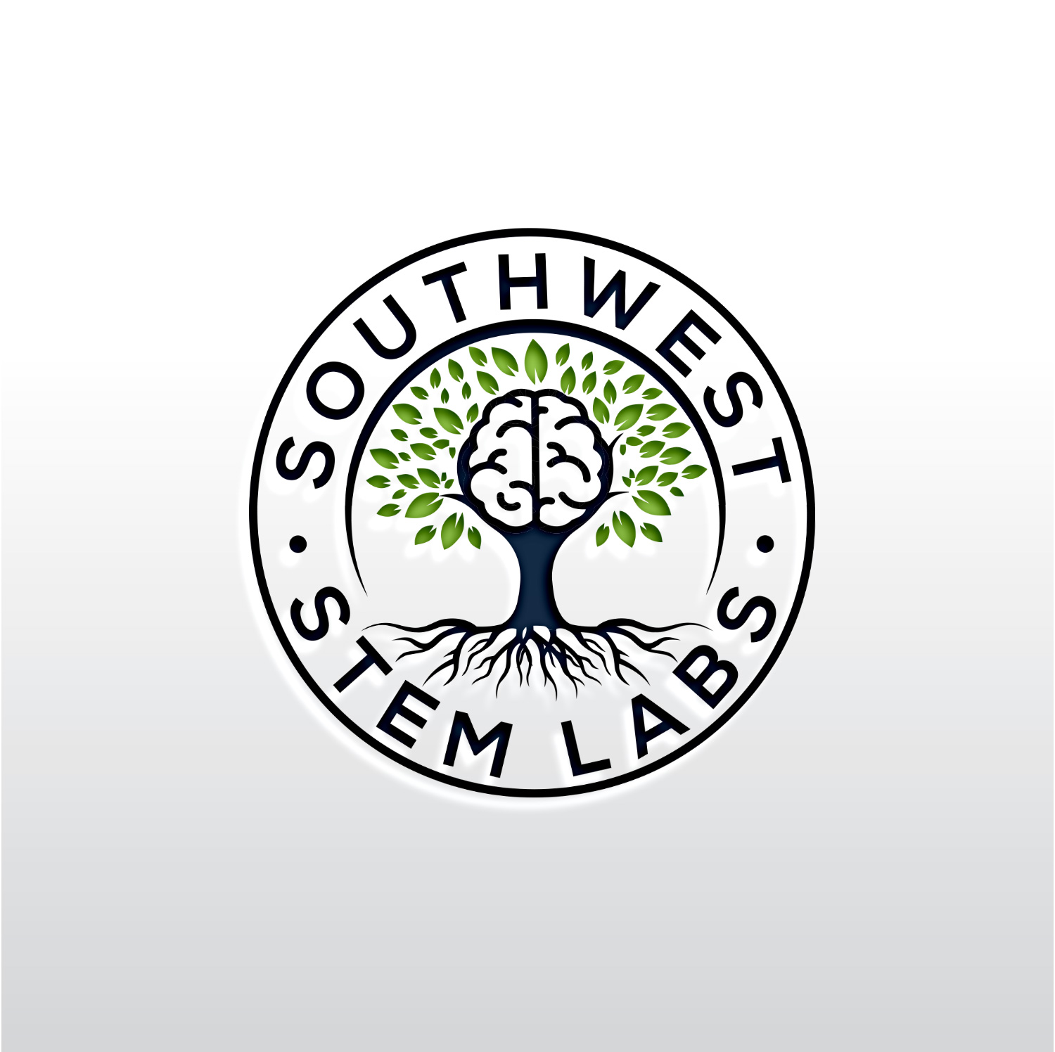Diseño de Logo por Rosalie.. para Southwest STEM Labs | Diseño #29548389