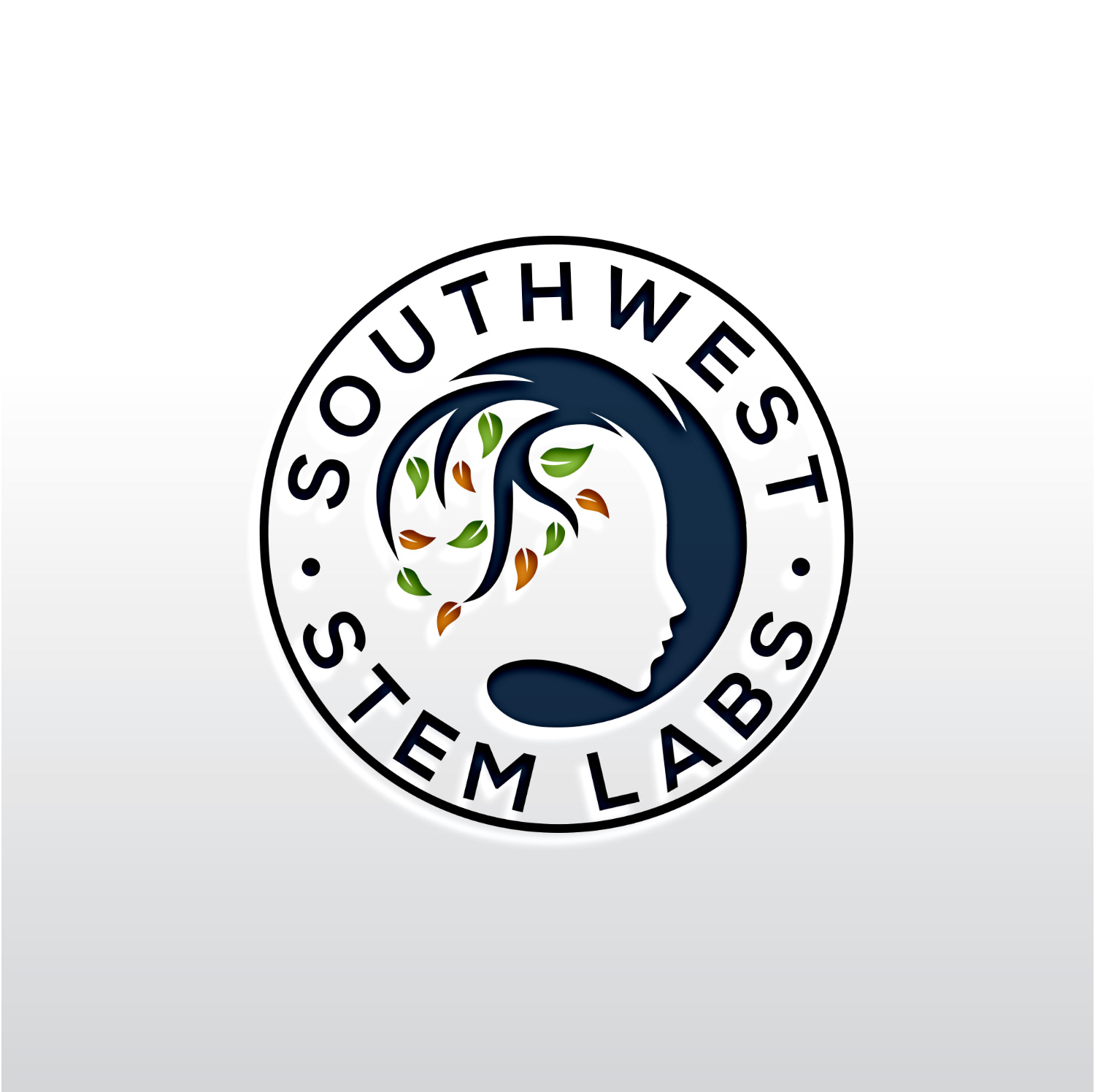 Logo Design by Rosalie.. for Southwest STEM Labs | Design #29548390