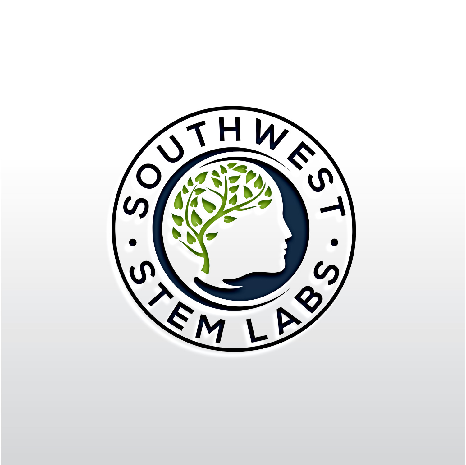 Logo Design by Rosalie.. for Southwest STEM Labs | Design #29548391