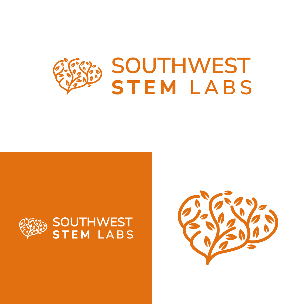 Logo Design by Choiresia.id for Southwest STEM Labs | Design #29533603