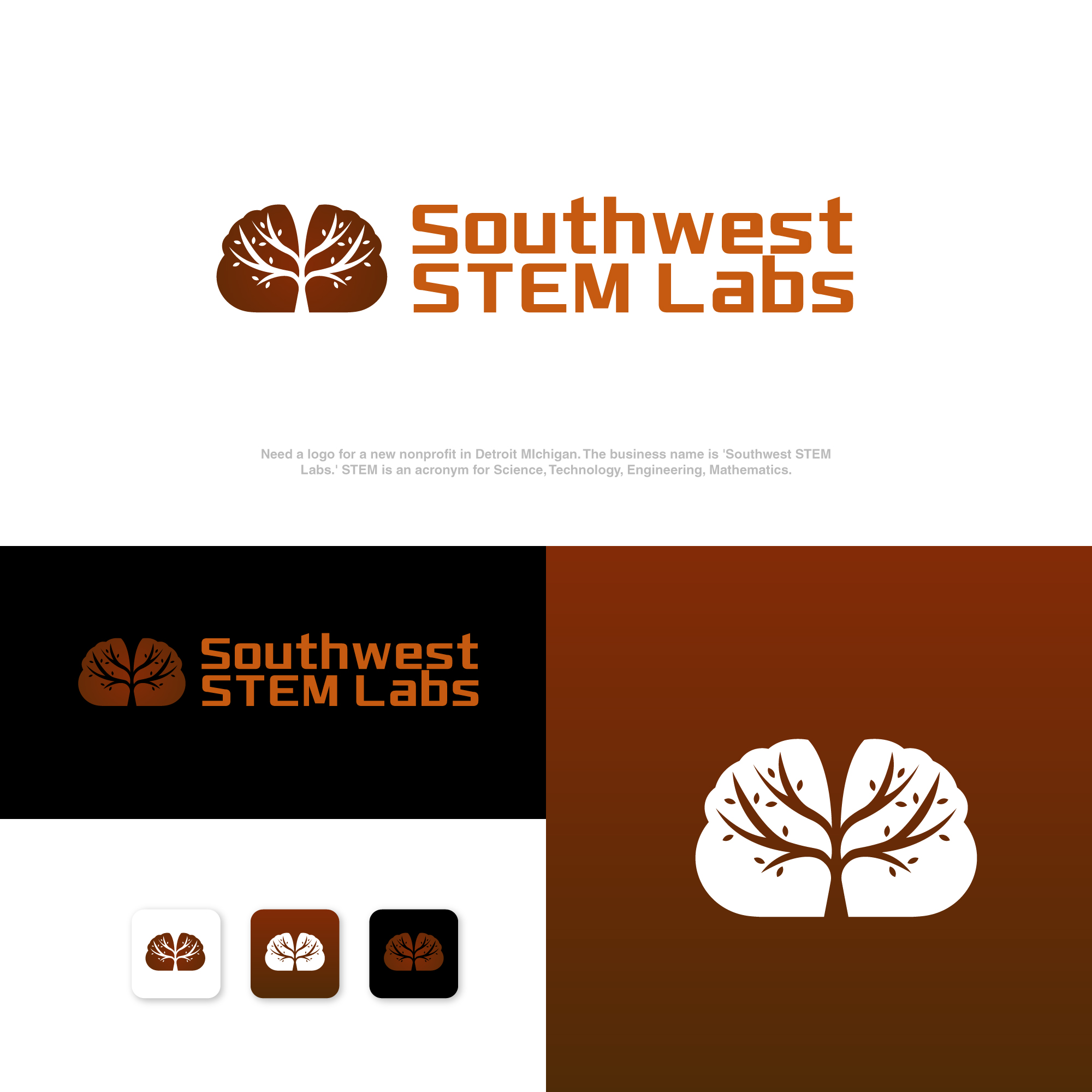Diseño de Logo por Transformed Design Inc. para Southwest STEM Labs | Diseño #29538704