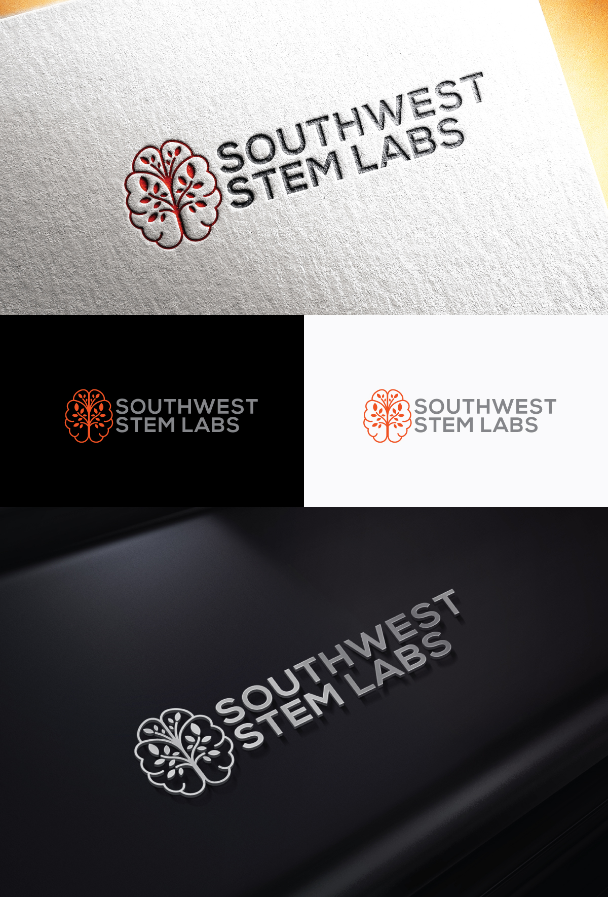 Logo Design by step forward 2 for Southwest STEM Labs | Design #29535657
