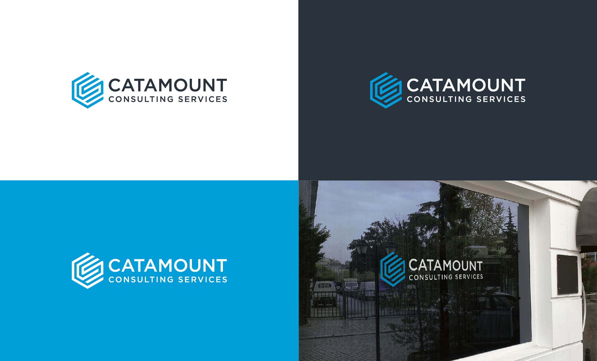 Logo-Design von FransiskaDesign für Catamount Consulting Services LLC | Design #29556203