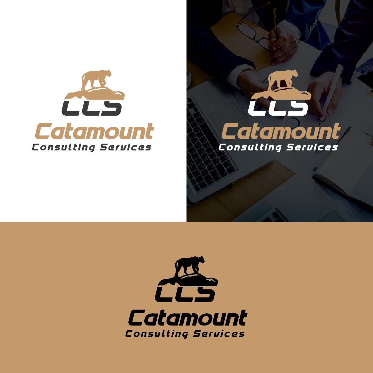 Logo Design by Deziners Zone for Catamount Consulting Services LLC | Design #29536933
