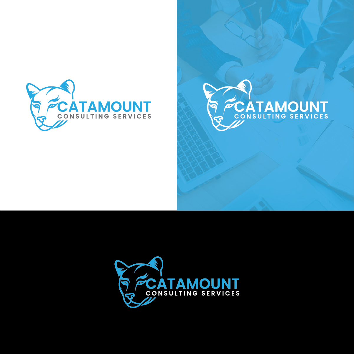 Logo Design by Deziners Zone for Catamount Consulting Services LLC | Design #29536935