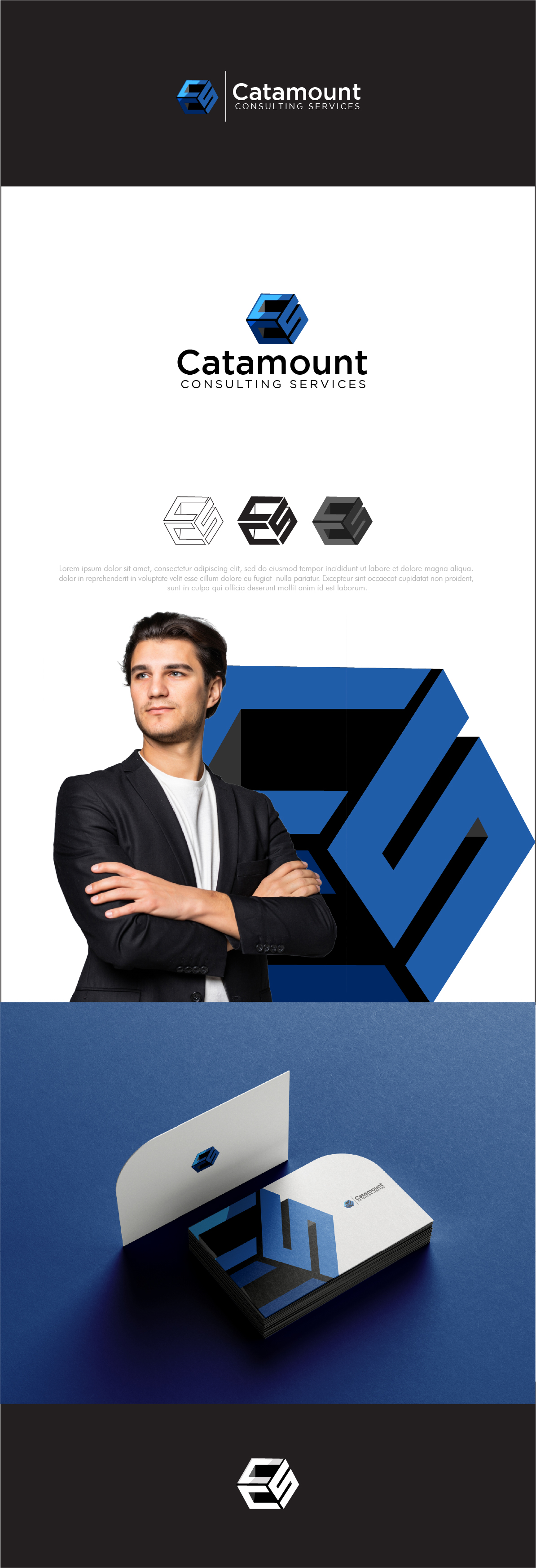 Logo Design by saifysyed Studio for Catamount Consulting Services LLC | Design #29556735