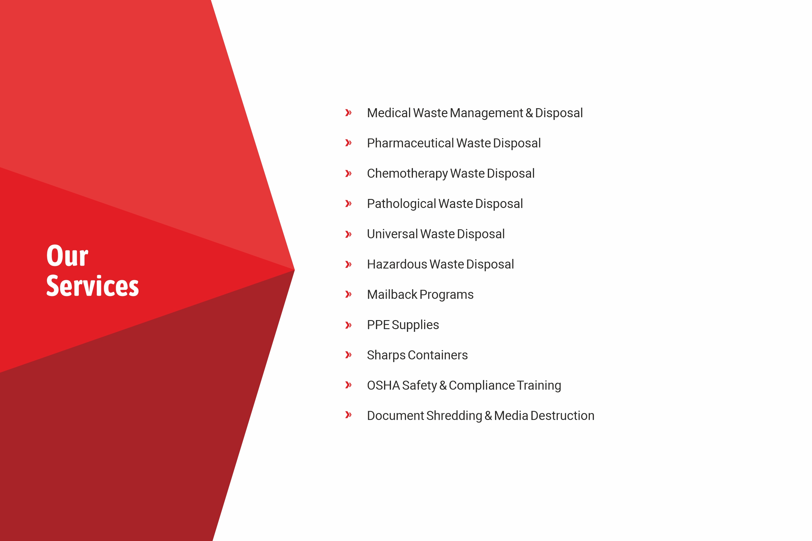 Diseño de Catálogo por Webbymastro para este proyecto | Diseño #29541210