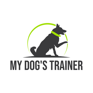 Logo Design by BoboiBoy Api for this project | Design #29557051
