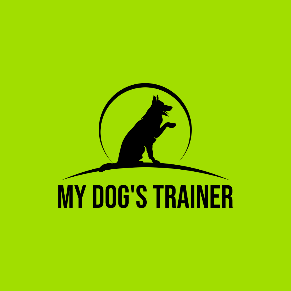 Logo Design by BoboiBoy Api for this project | Design #29569307