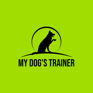Logo Design by BoboiBoy Api for this project | Design: #29569307