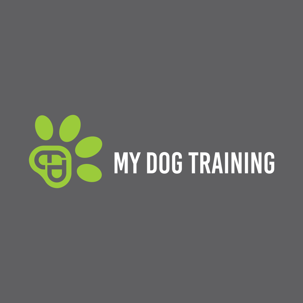 Logo Design by BoboiBoy Api for this project | Design #29575896