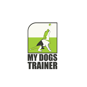 Logo Design by Moulicon