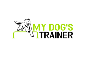 Logo Design by ammadahsan112 for this project | Design: #29547201