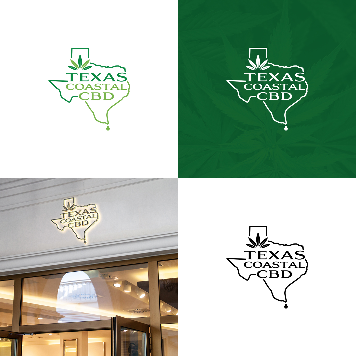 Logo Design by Maxo-Biz for this project | Design #29541678