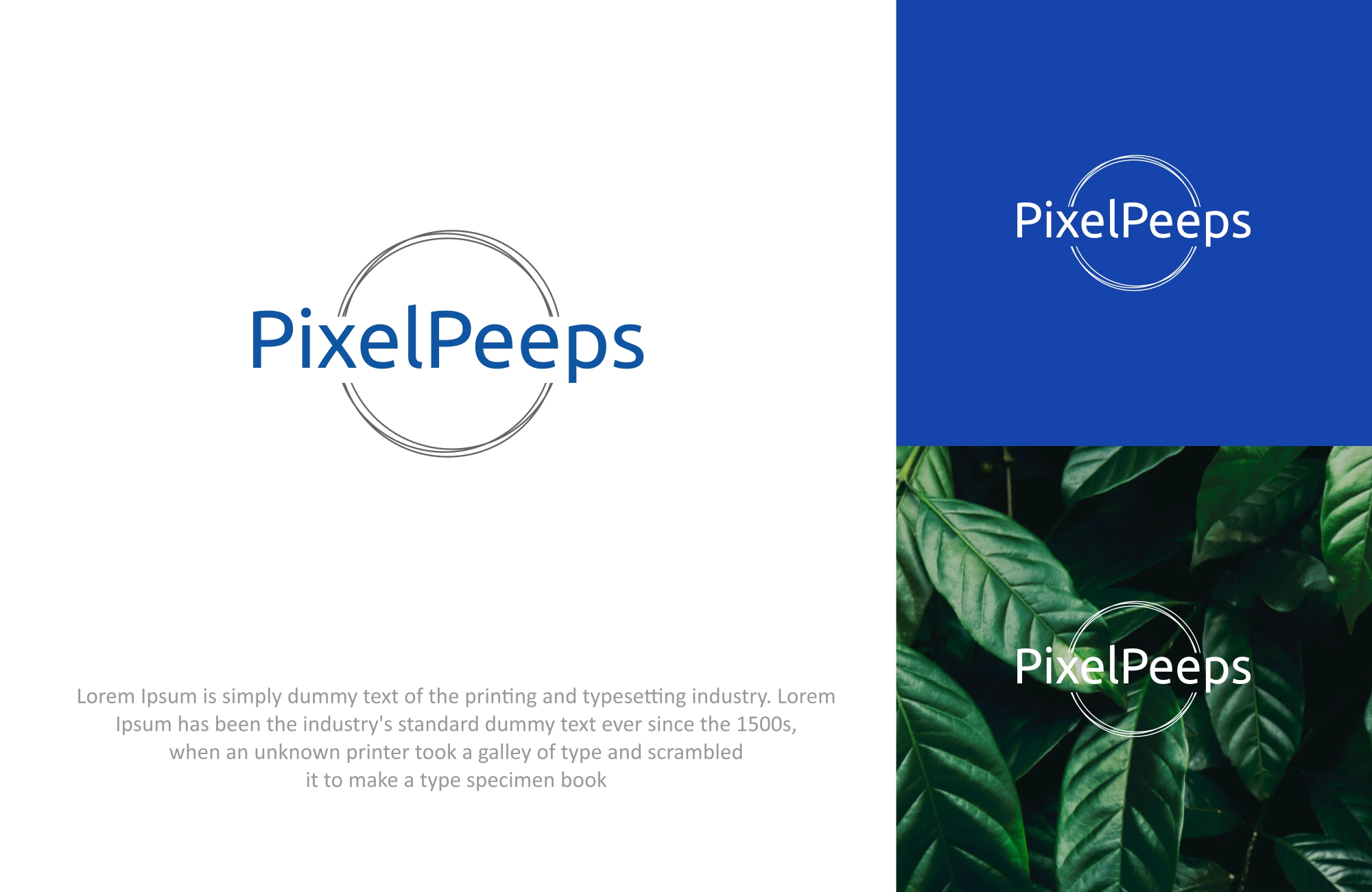 Logo Design by MX LogoArt for this project | Design #29544931