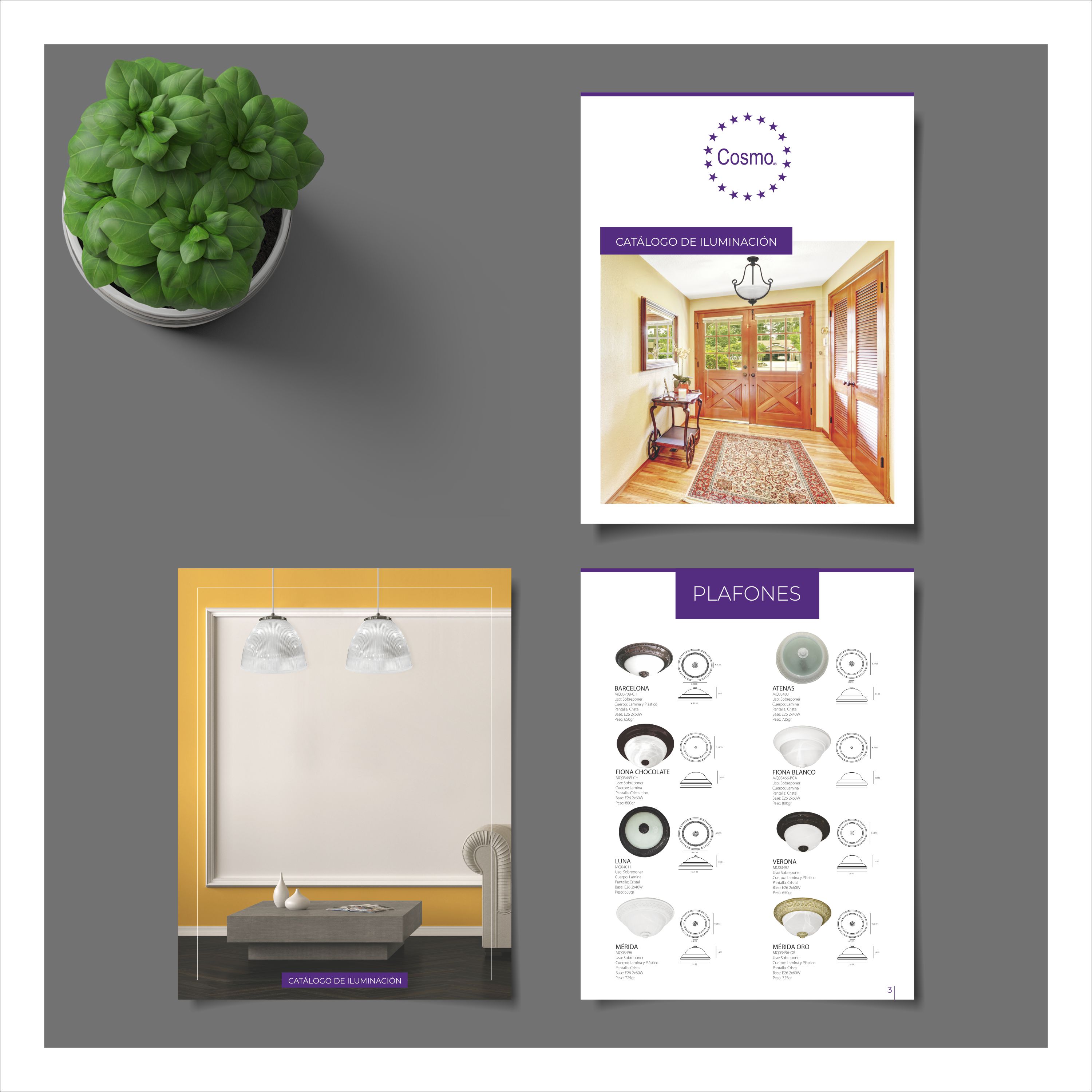 Catalogue Design by nng for this project | Design #29601206