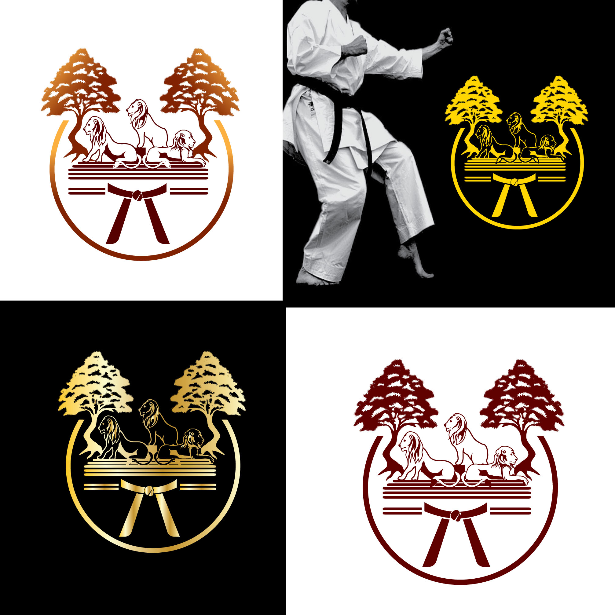Logo-Design von Wonderful design für Coronado's Family Martial Arts | Design #29552021