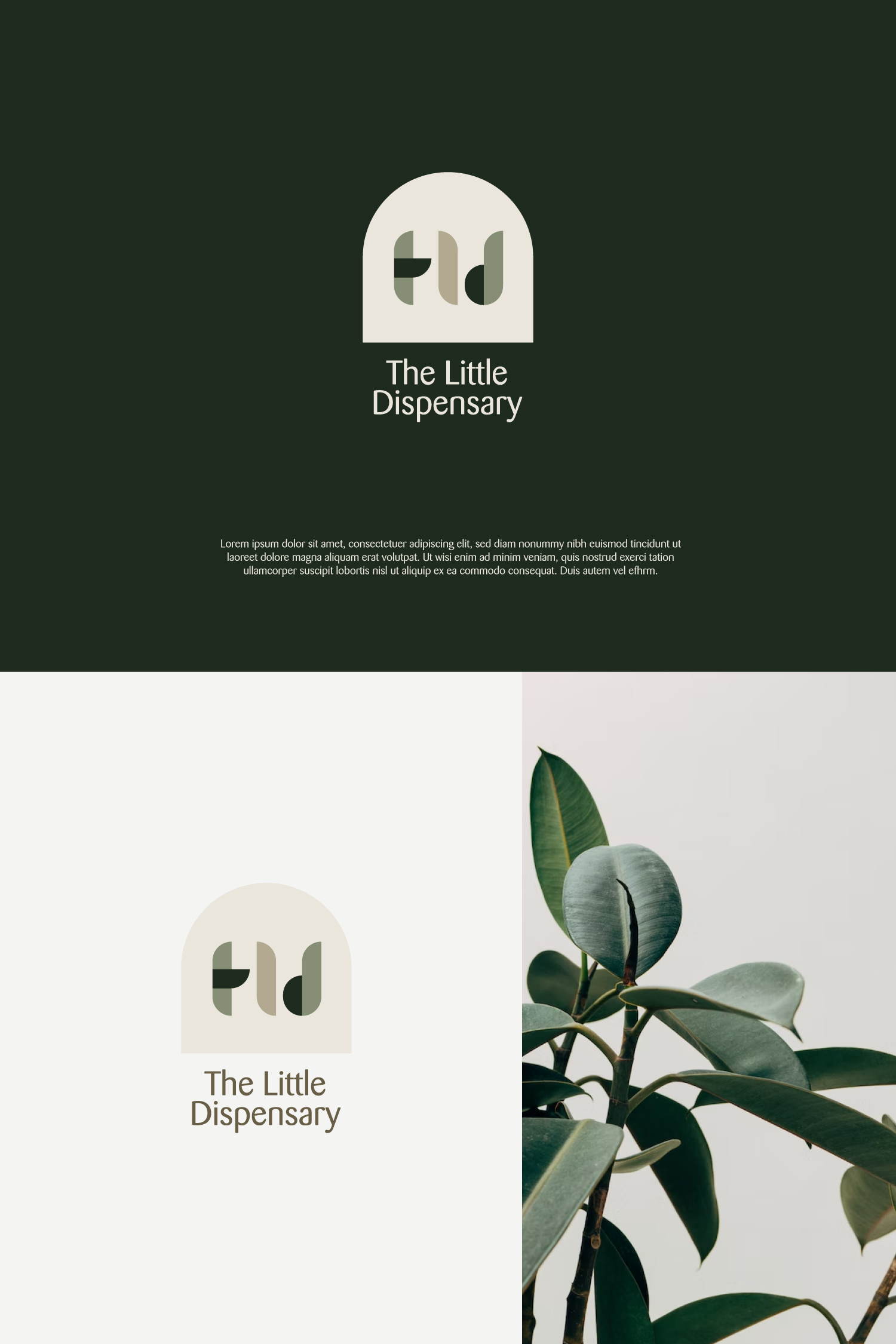 Logo Design by aliimran for this project | Design #29548146