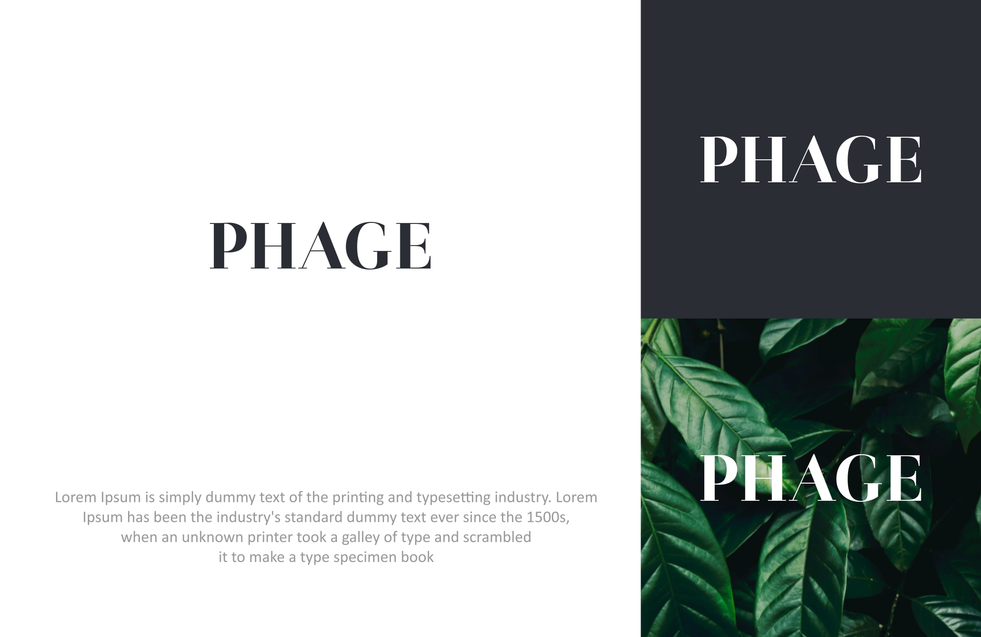 Logo Design by Liyana for this project | Design #29553653