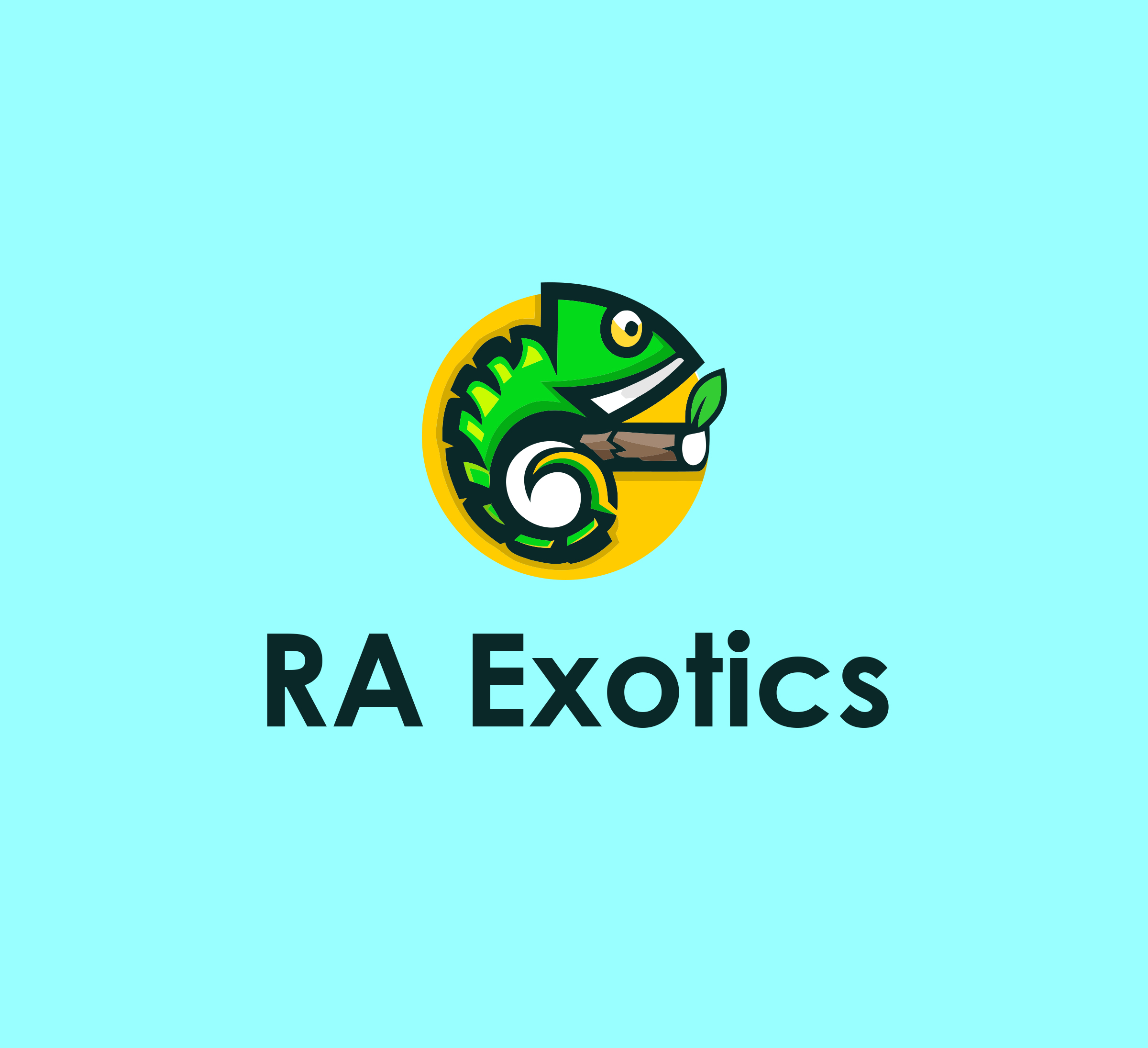 Logo Design by Ura Designs for Perfect Symmetry | Design #29592869