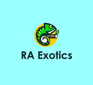 Logo Design by Ura Designs for Perfect Symmetry | Design: #29592869