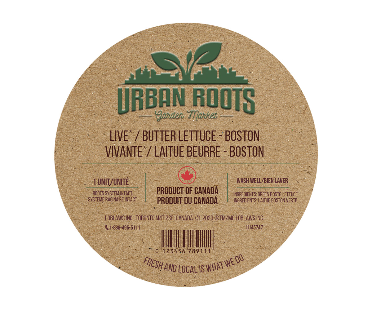 Diseño de Empaque por Carmem Freire para este proyecto | Diseño #29564162