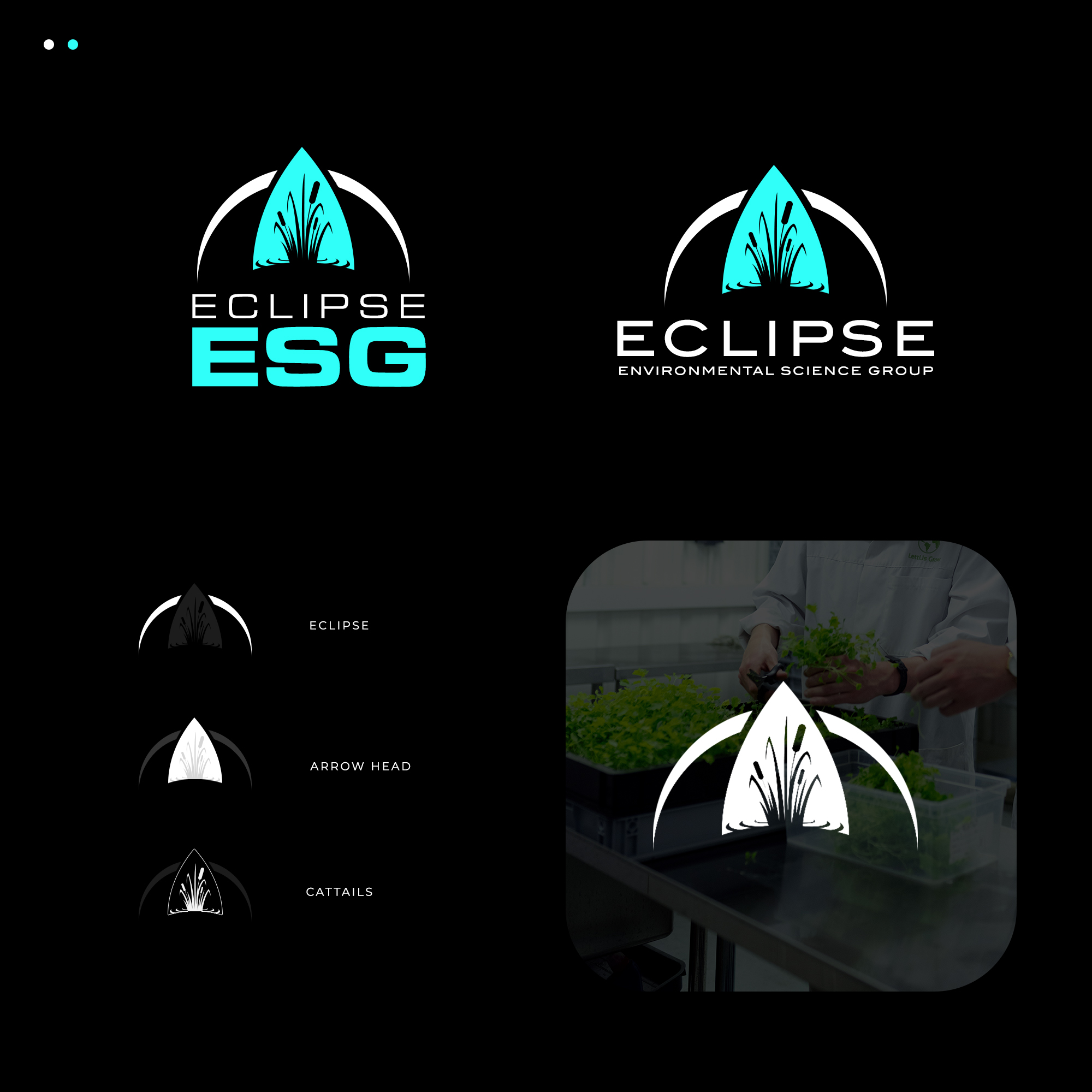 Logo Design by JR Studios for this project | Design #29583455