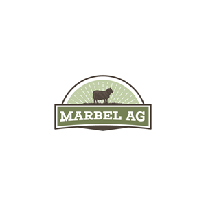 Logo Design by Jerwin Intac for this project | Design: #29572128