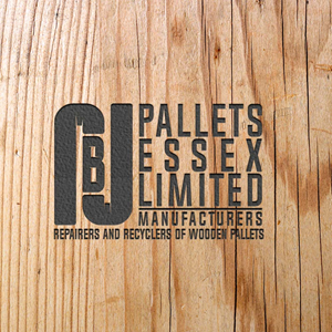 Logo Design by Bizet Zovko design