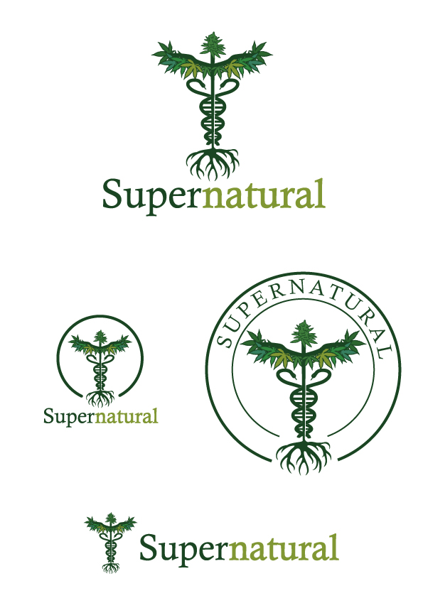 Design de Logo par Anton. pour ce projet | Design #29610676