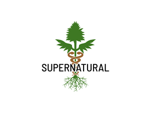 Design de Logo par BNdesigner pour ce projet | Design : #29580336