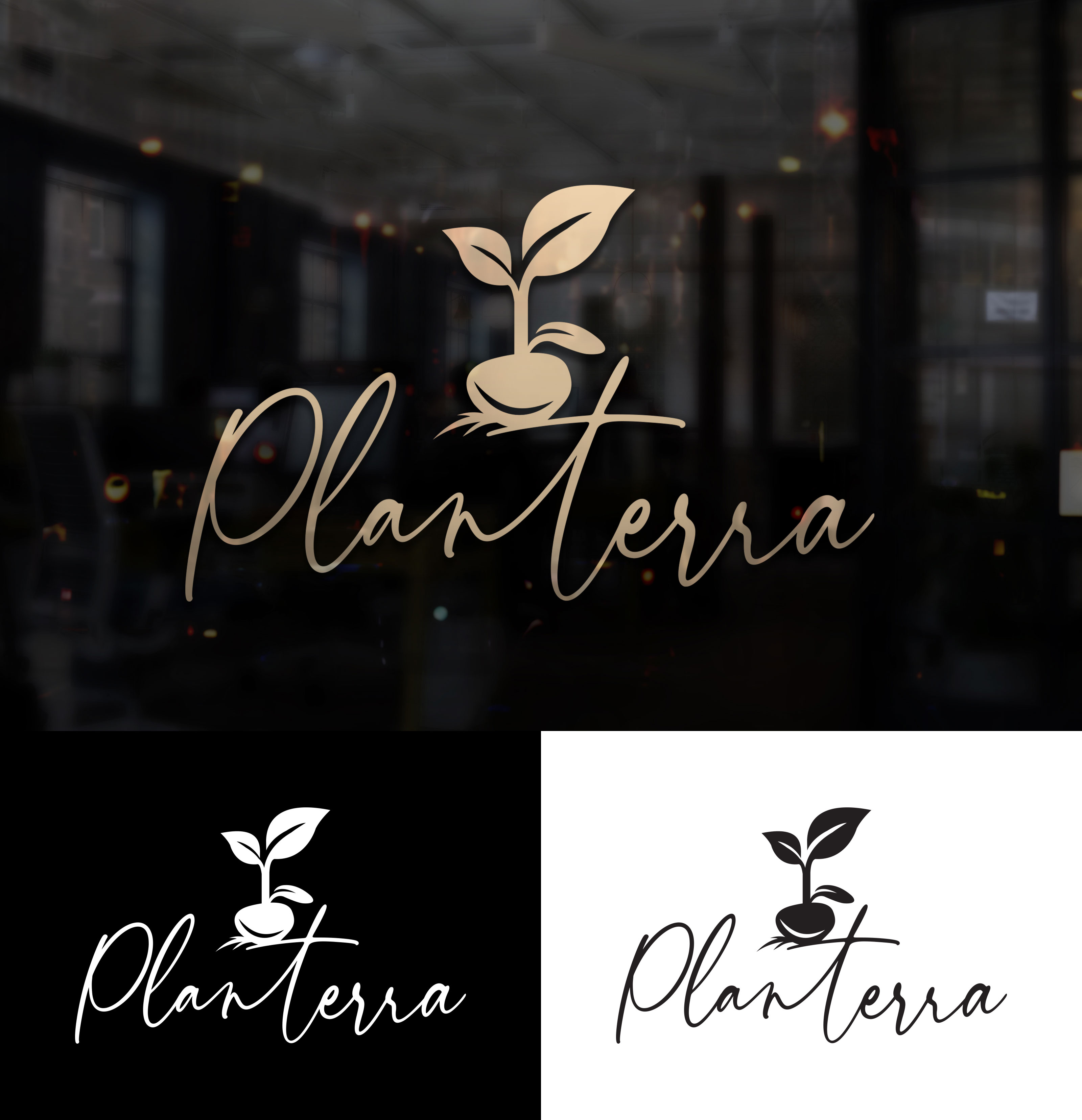 Logo Design by design 125 for this project | Design #29580492