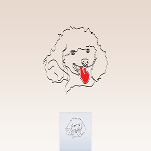 Logo Design by 9design