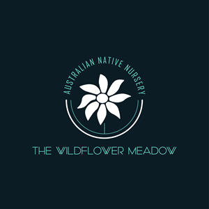 Logo Design by Chamila Designs