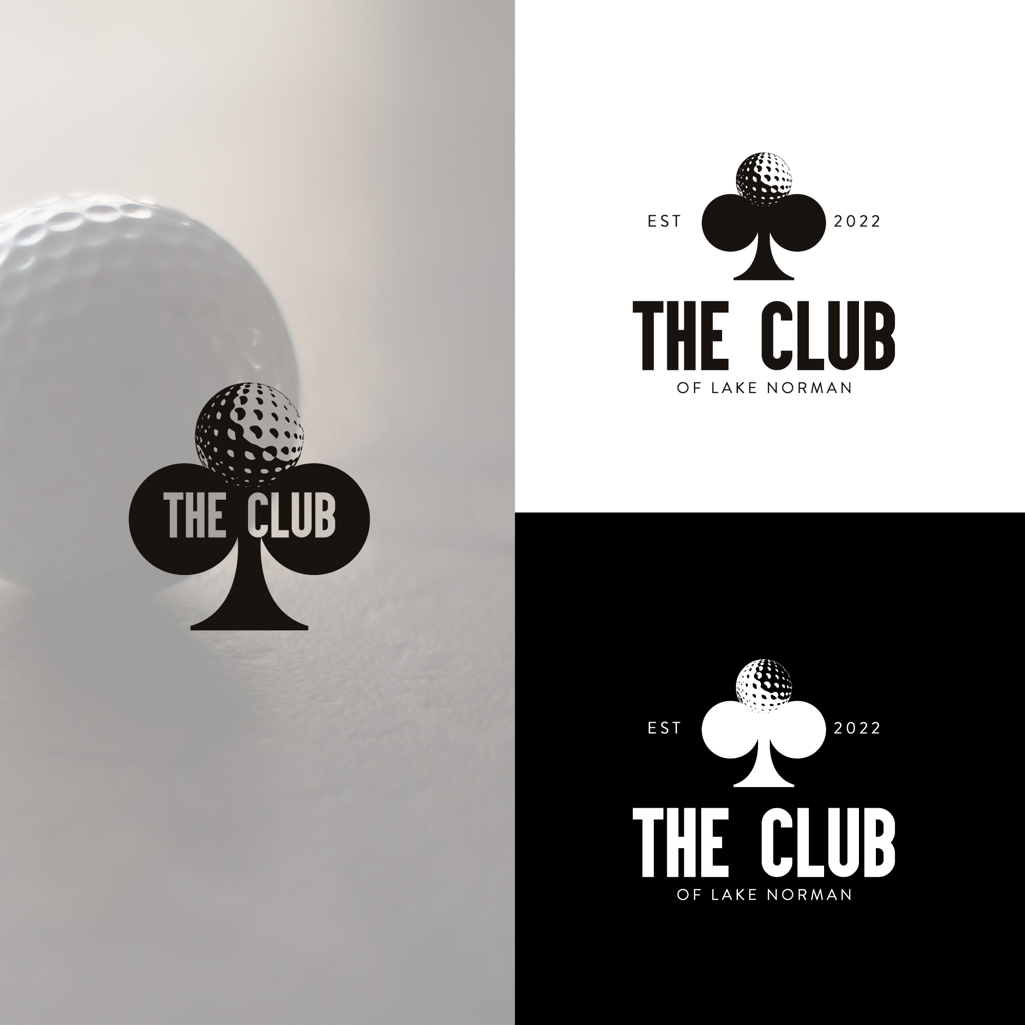 Design de Logo par tboydesigns pour ce projet | Design #29593846