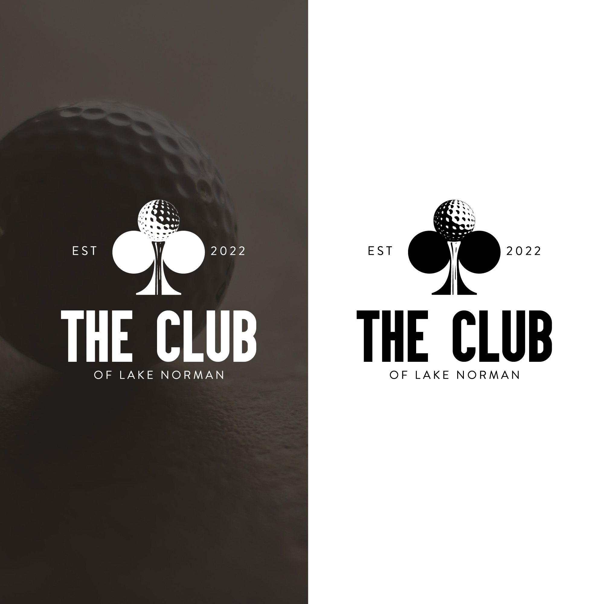 Design de Logo par tboydesigns pour ce projet | Design #29594124