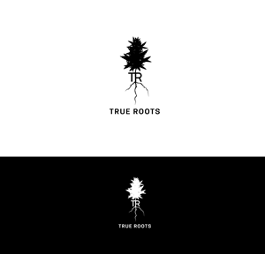 Logo Design by Enz67 for this project | Design: #29597056