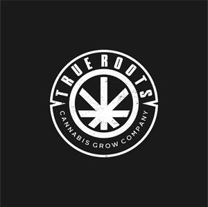 Logo Design by DoppelGanger Studio for this project | Design: #29600967