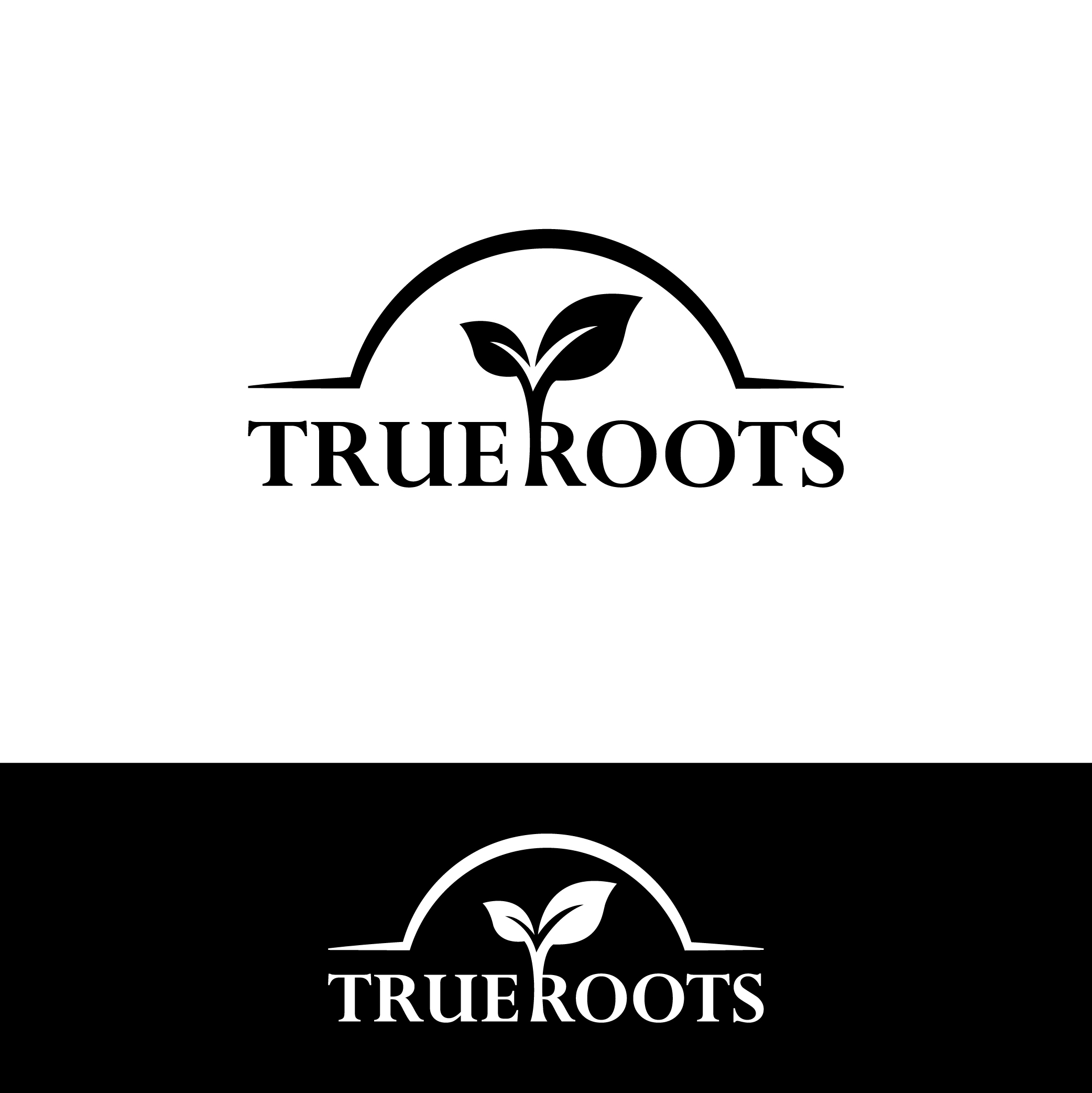 Logo Design by 3Guys for this project | Design #29601736