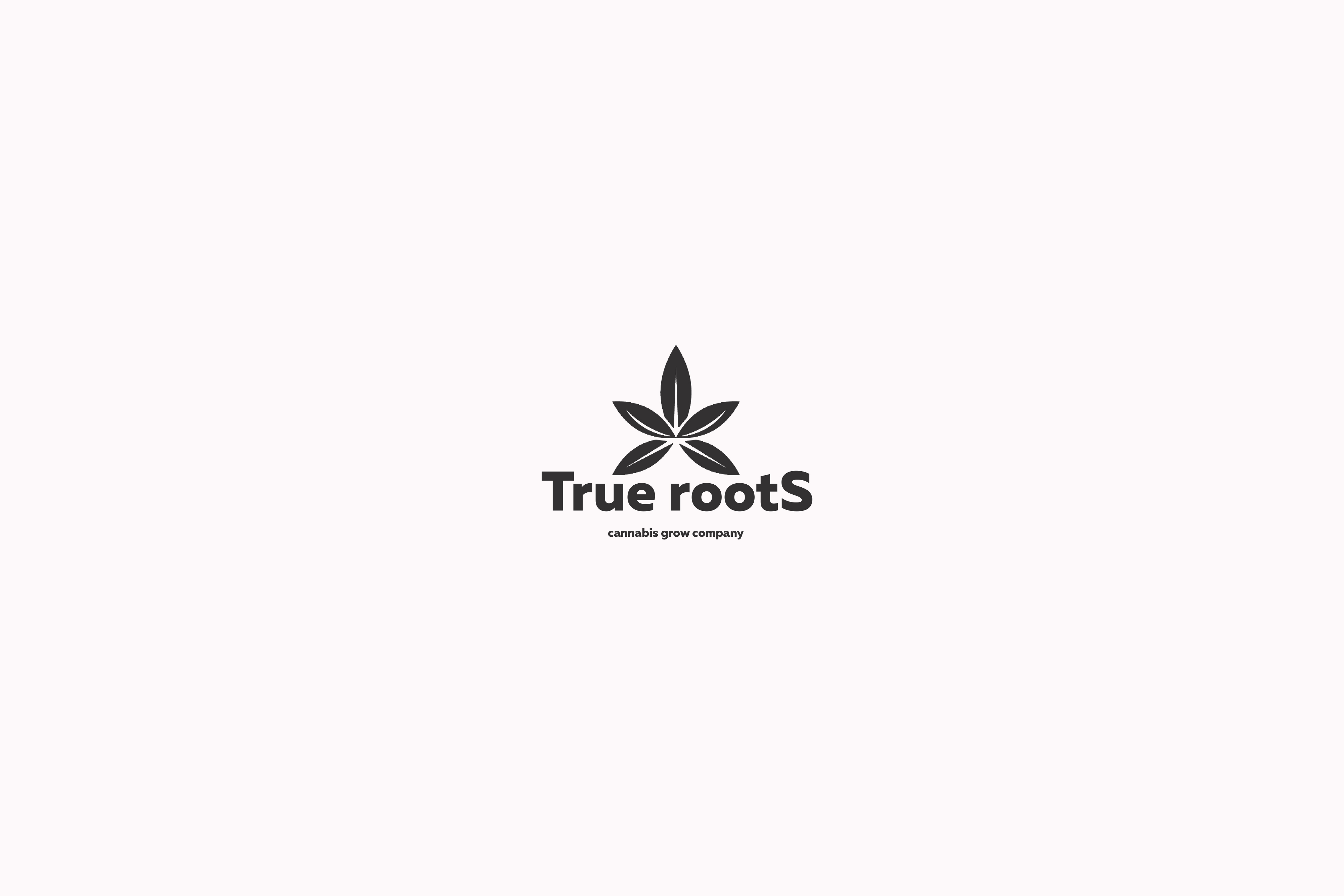 Diseño de Logo por Roman Designs para este proyecto | Diseño #29600915