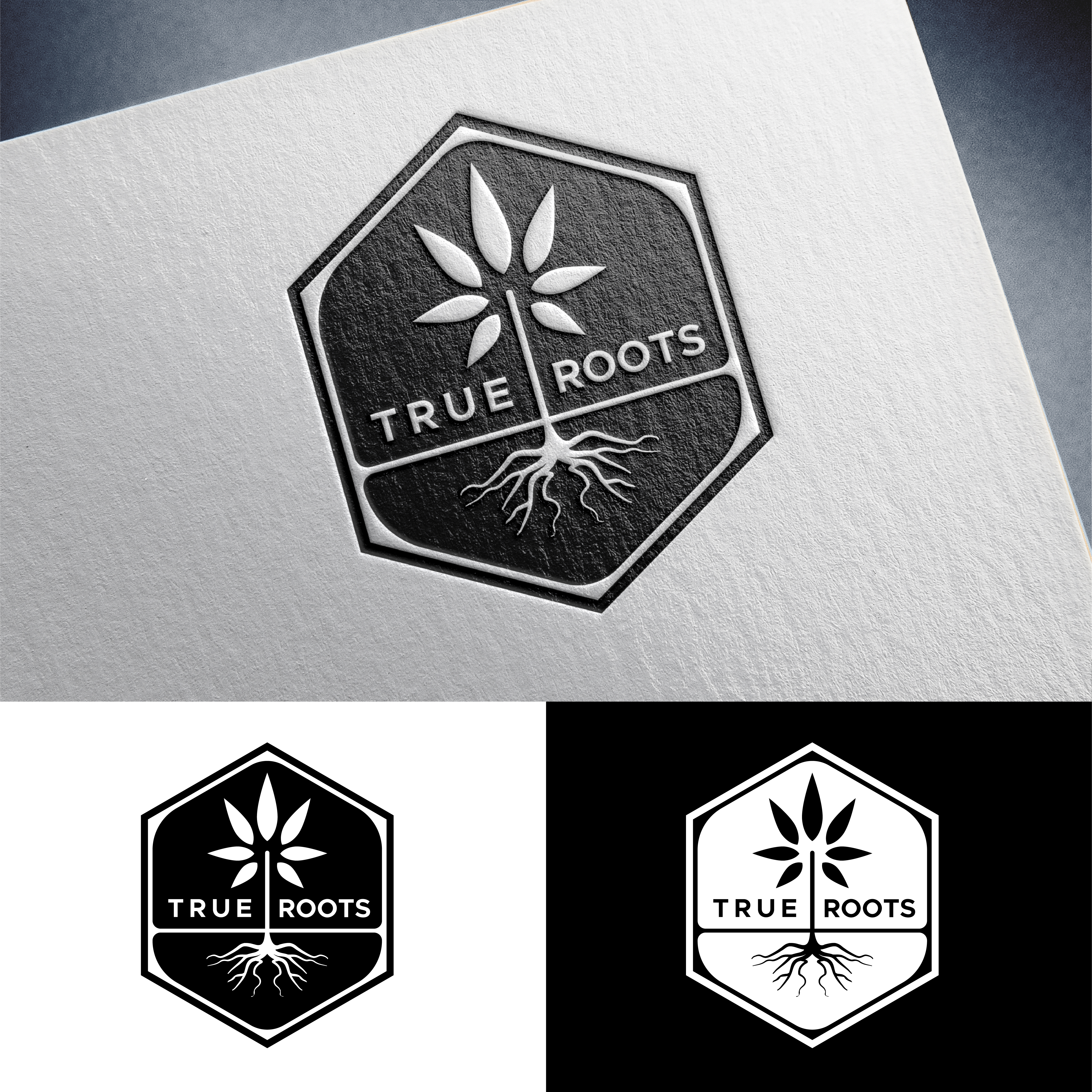 Logo Design by ARTchemist for this project | Design #29596315