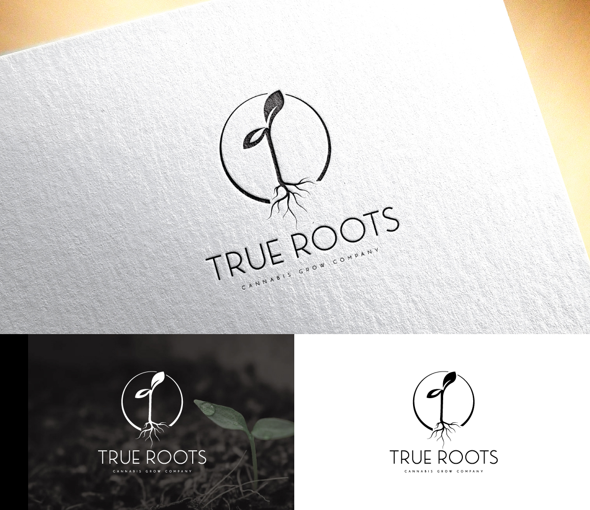 Logo Design by step forward 2 for this project | Design #29597023