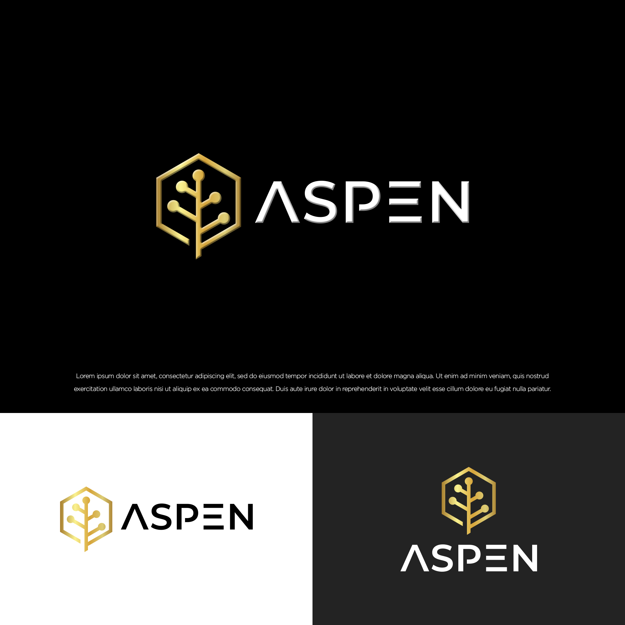 Logo Design by Aourus69 for this project | Design #29606871