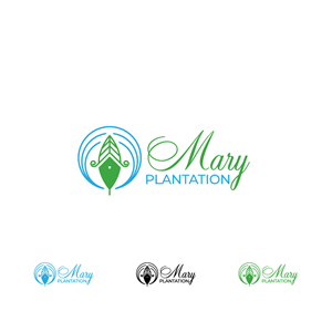 Logo Design by iArena Design